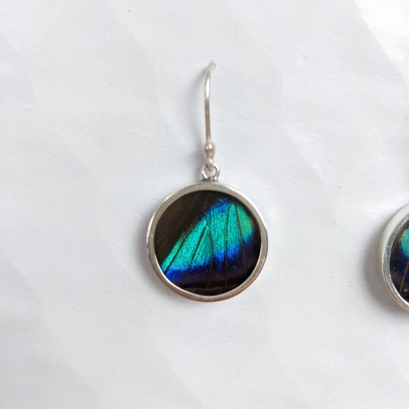 butterfly wings earrings - Picture 2 of 2